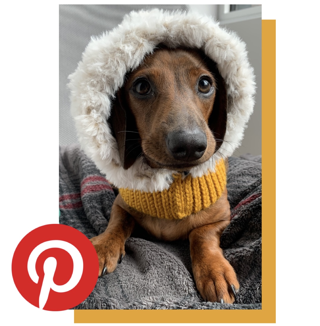 Faux Fur Dog Snood Free Crochet Pattern CalicoRadio