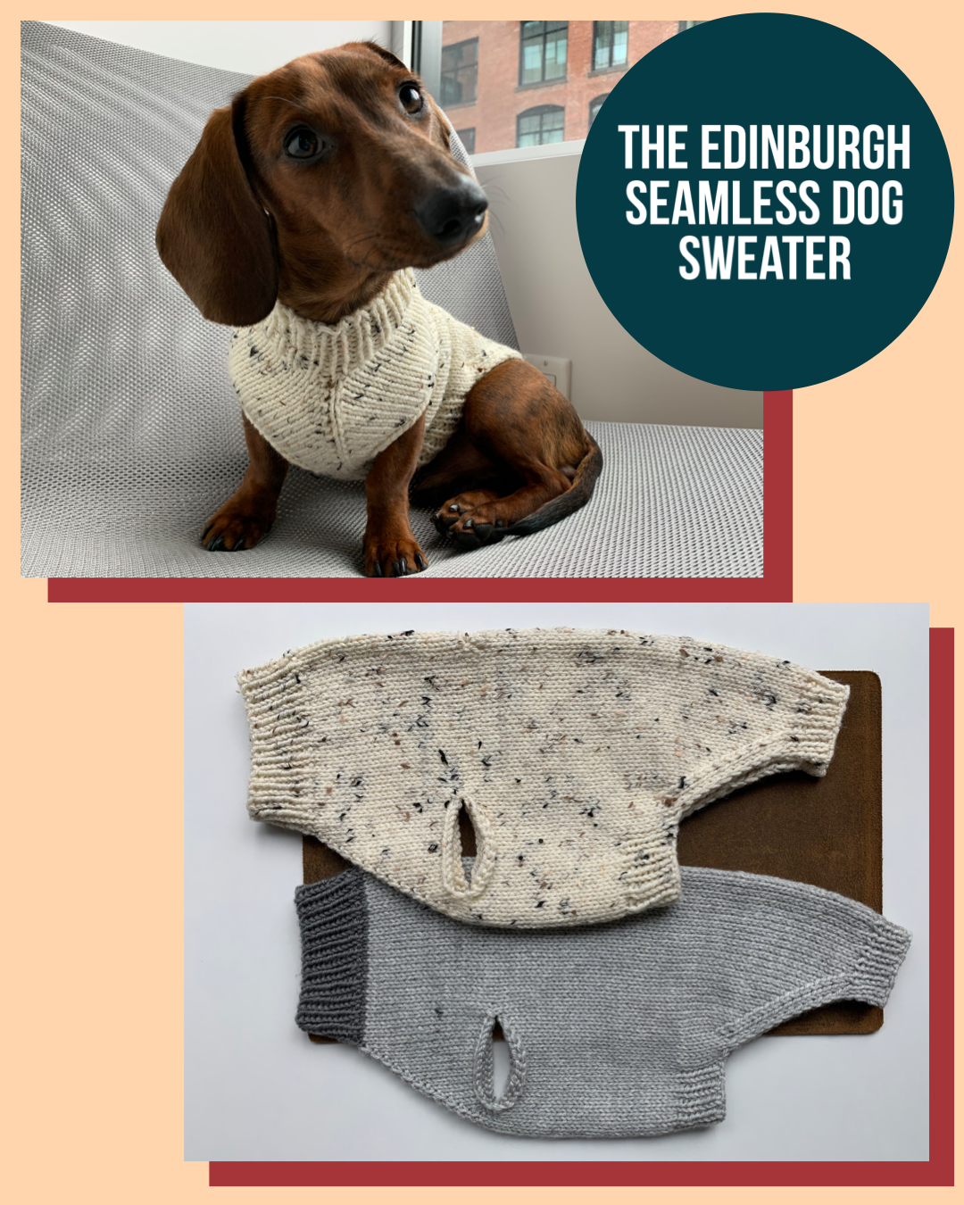 Free Bernat Pet Knit Dog Coat Pattern