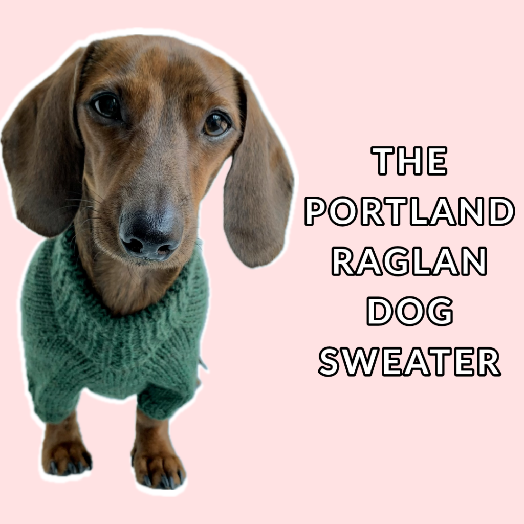 The Portland Raglan Dog Sweater Free Knitting Tutorial